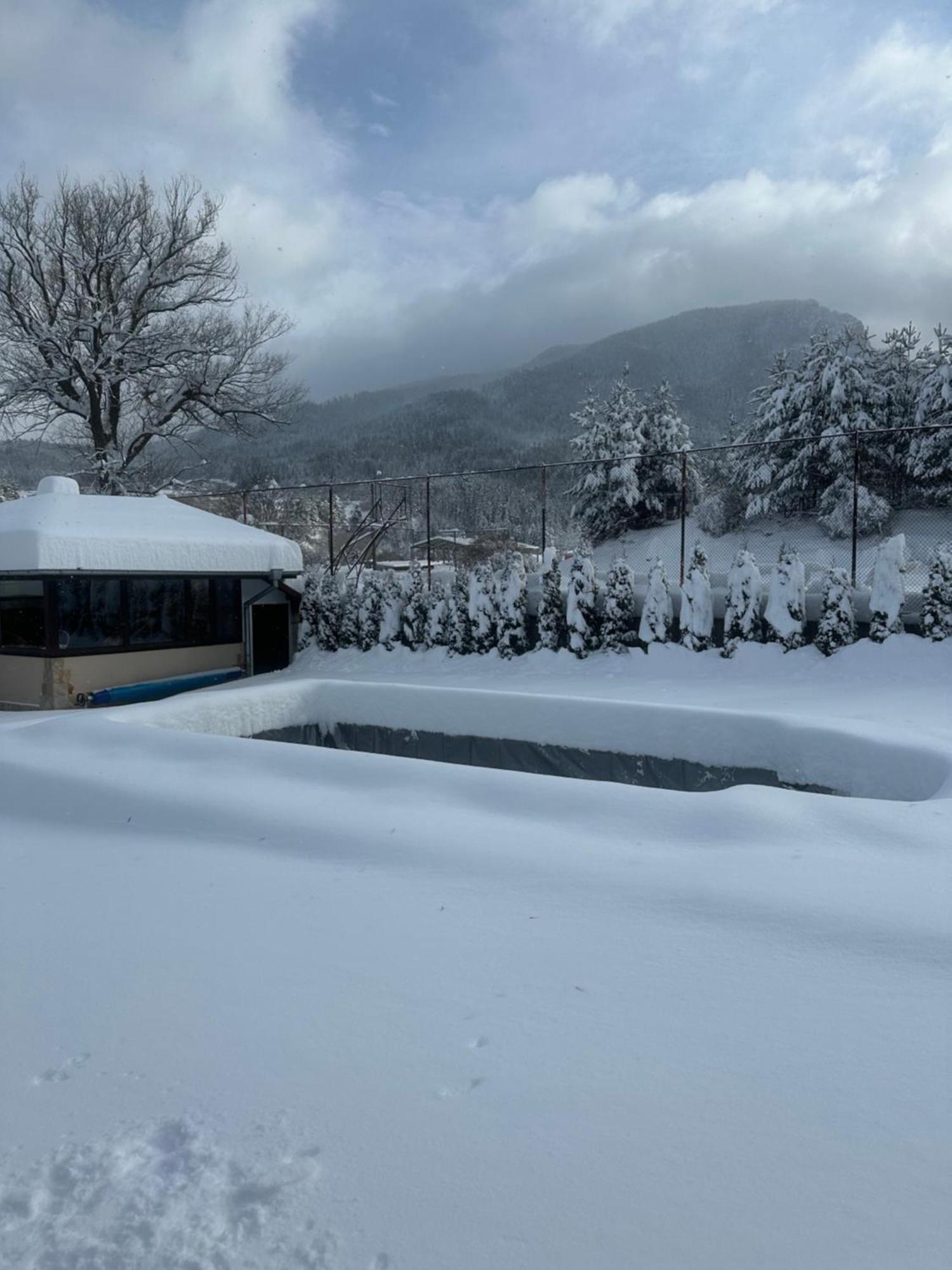 Villa Paradise ベリ・イスカ エクステリア 写真