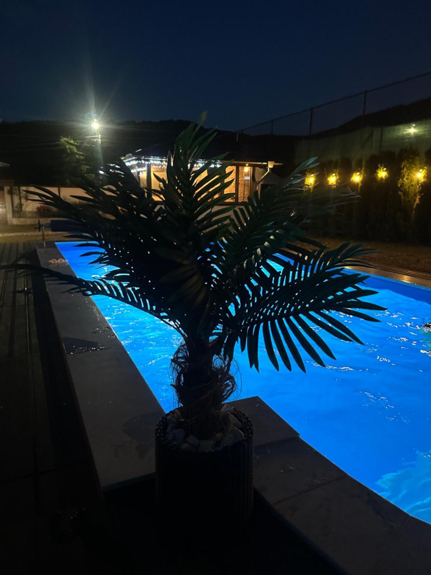 Villa Paradise ベリ・イスカ エクステリア 写真